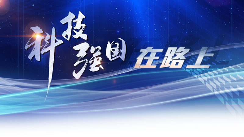 信息化建设与数字化转型：本质区别与路径解析